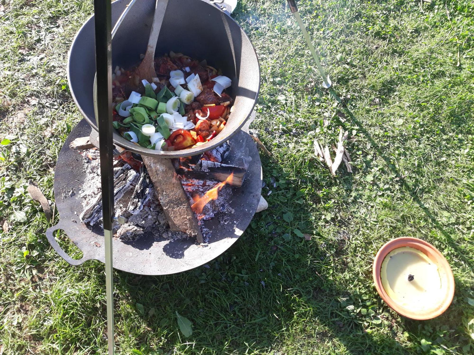 Camping Under The Walnut In Your Own Tent On A Shared Lot And Shared Bathroom Ljubljana Kültér fotó