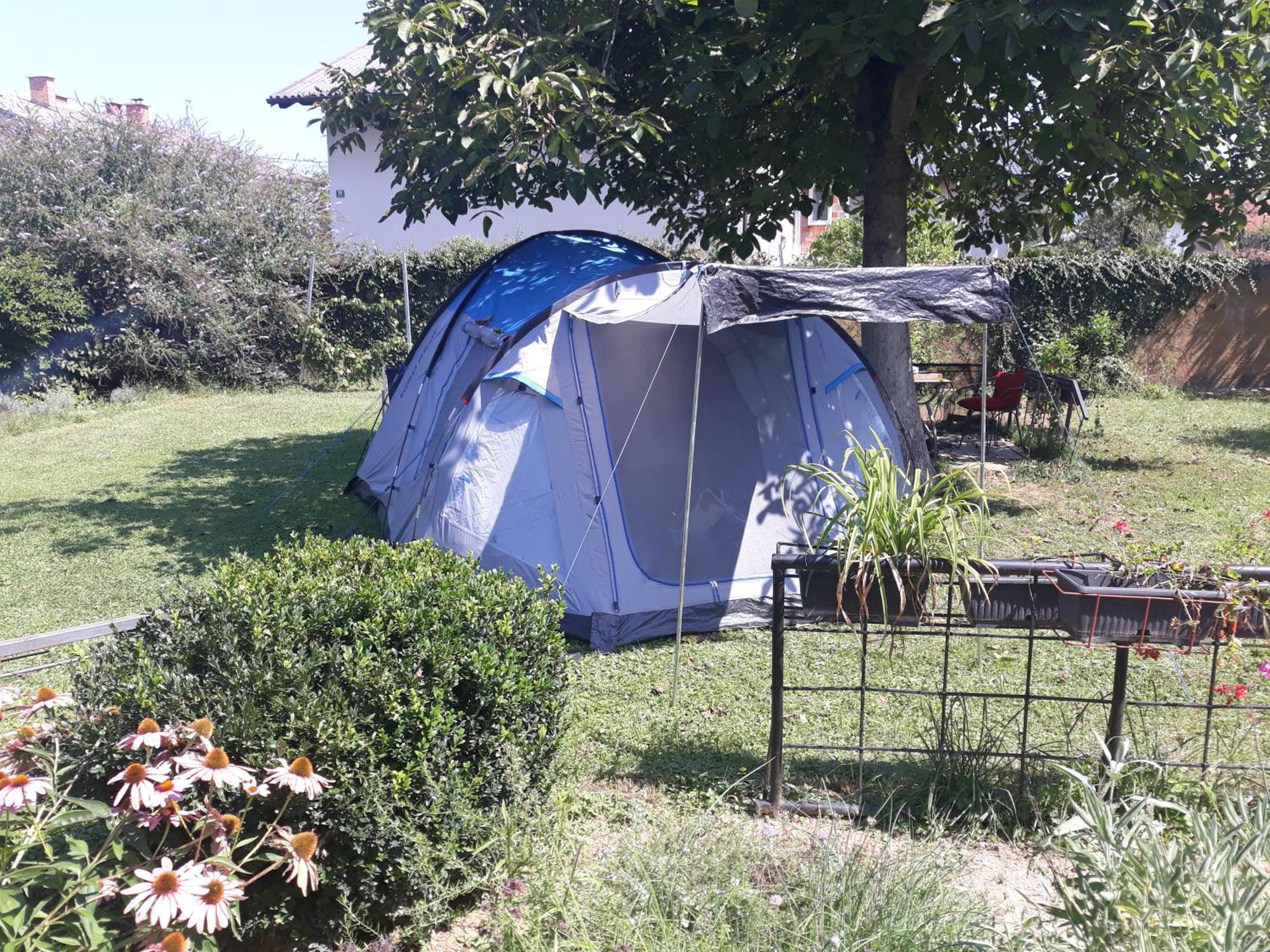 Camping Under The Walnut In Your Own Tent On A Shared Lot And Shared Bathroom Ljubljana Kültér fotó